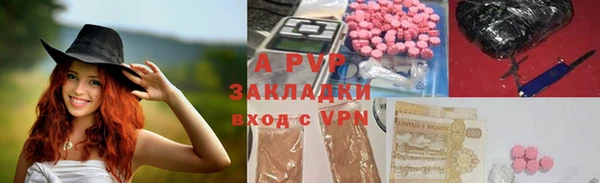 PSILOCYBIN Грязовец