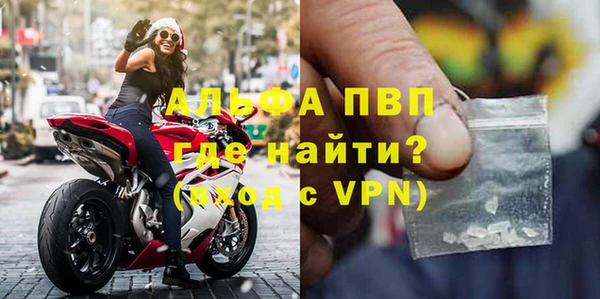 прущие грибы Козловка
