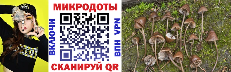 Галлюциногенные грибы MAGIC MUSHROOMS Кологрив