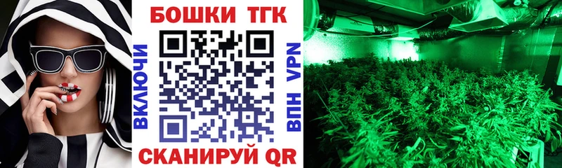где найти наркотики  Кологрив  Бошки Шишки Ganja 